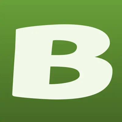 Betcity, букмекерская контора, лого-визитка