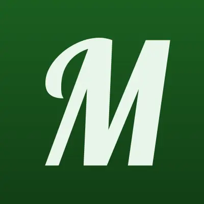 Mr. Хвост, лого-визитка