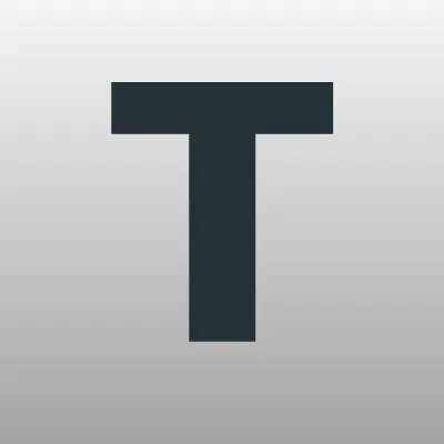 Твоя игрушка, сеть магазинов, лого-визитка